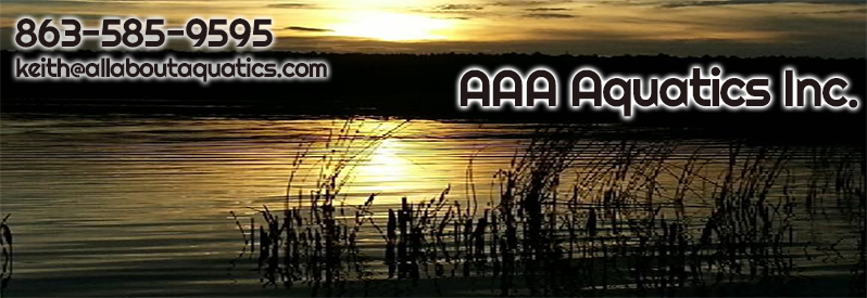 allaboutaquatics.com